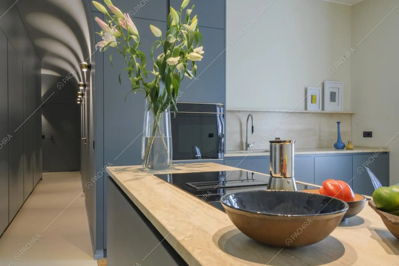 Piano di lavoro con fornelli a induzione e vaso di fiori