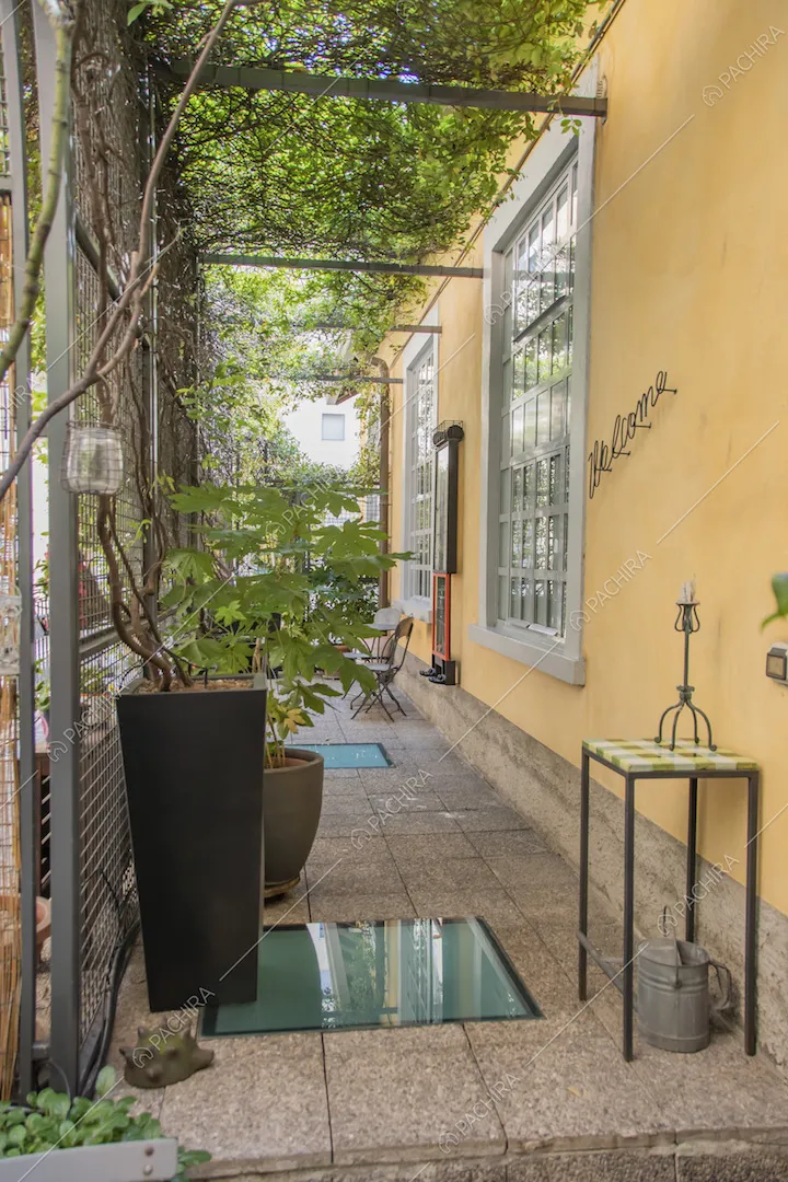 Veranda con piante in vaso e annaffiatoio vintage in metallo