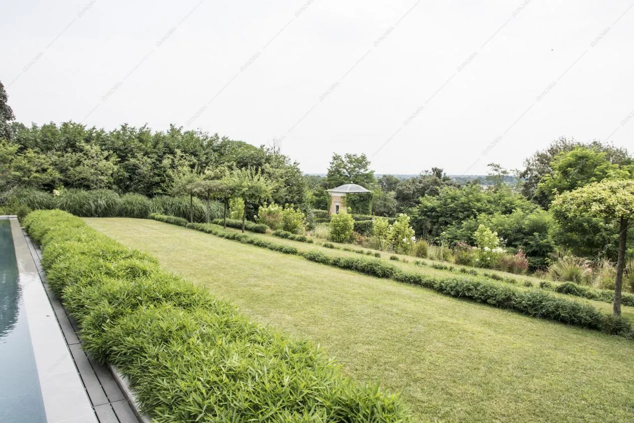 Vista che si gode dalla piscina nel giardino della villa