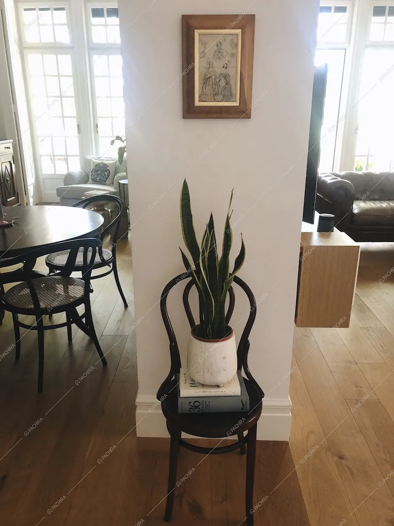 Location Capelvenere appartamento Napoli 19