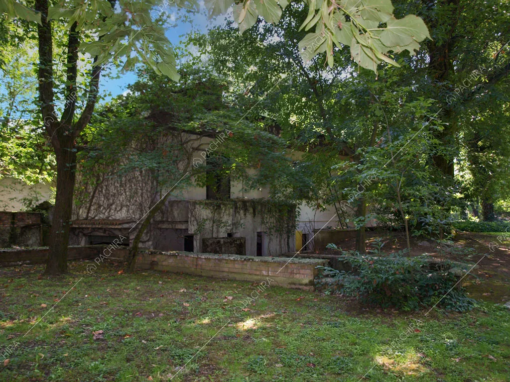 Grande giardino con alberi e vista sugli esterni della location con rampicanti