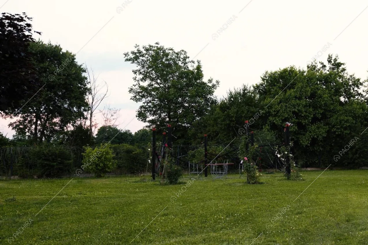 Alberi e fiori nel grande giardino intorno alla villa