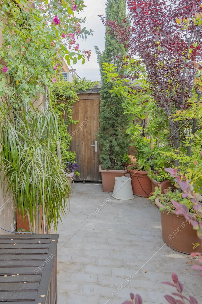Terrazza con rimessa degli attrezzi in legno
