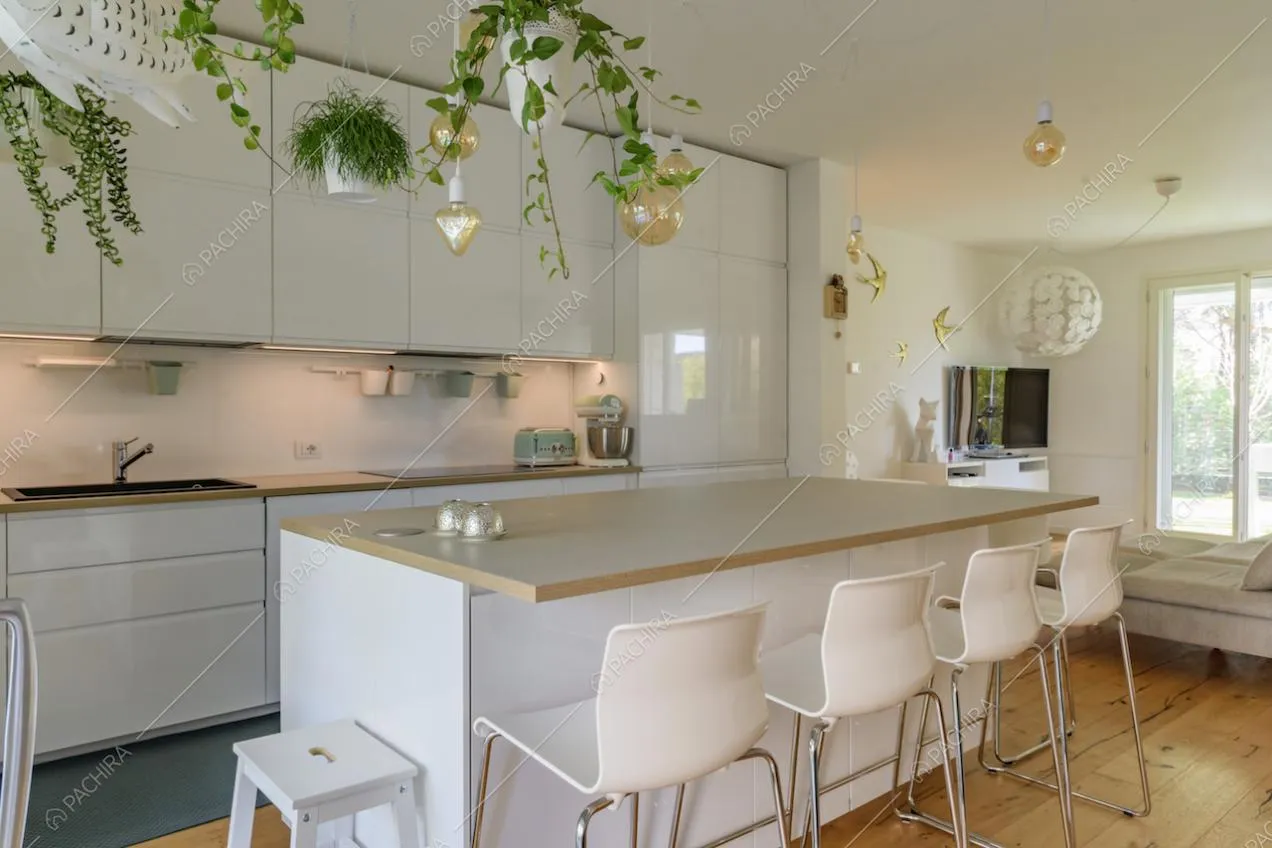 Isola della cucina con bancone e piante pendenti
