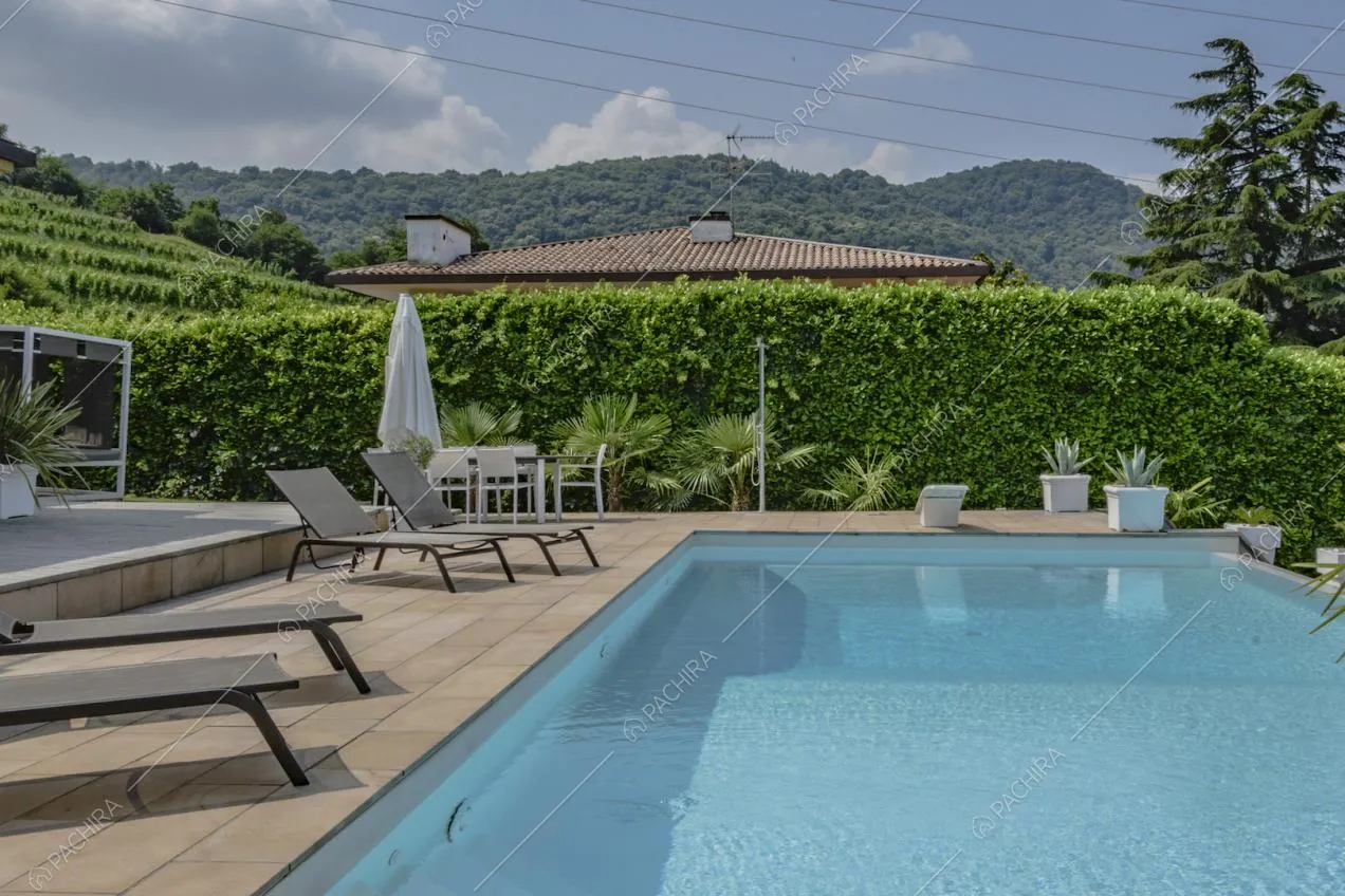 Piscina nel giardino con sedie a sdraio e ombrelloni