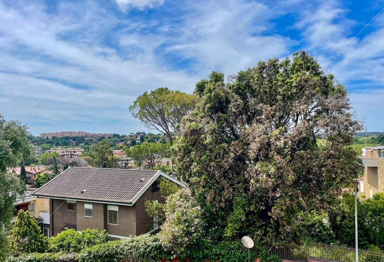Vista parco dalla villa Apatite, location in stile classico a Roma