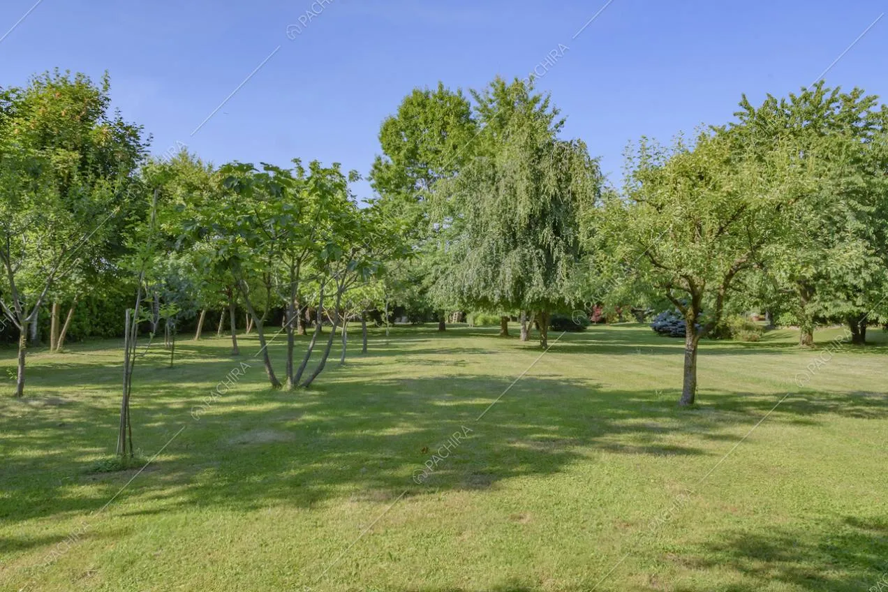 Il grande parco all'esterno della Location Orniello