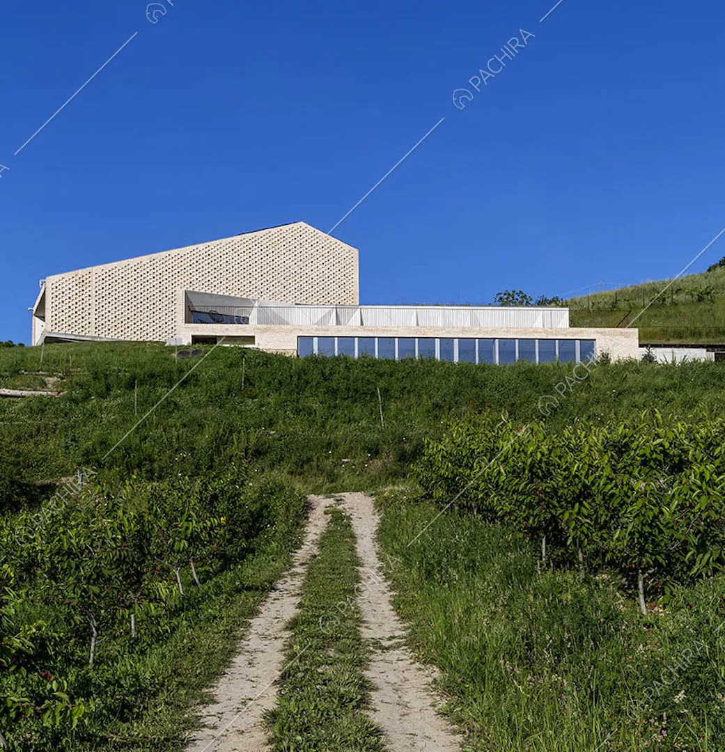 Vialetto di accesso alla villa dai campi e vista sulla location