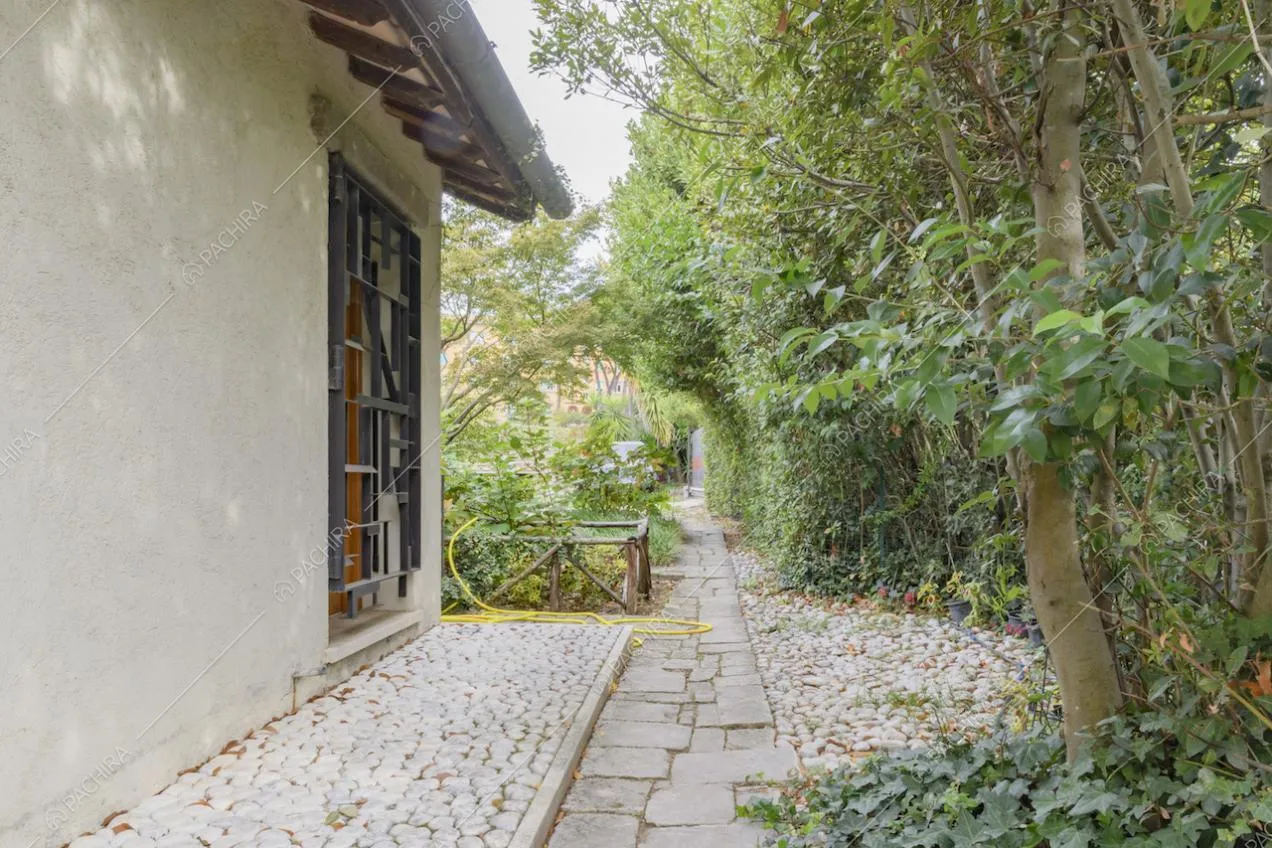 Angolo di giardino con piante su un lato della villa 