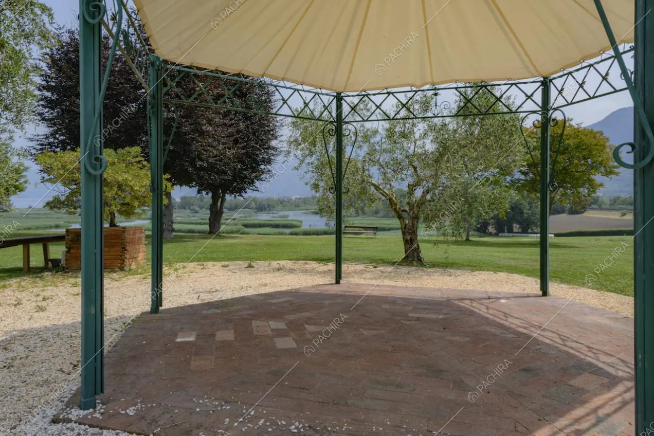 Gazebo in ferro verde circondato da piante