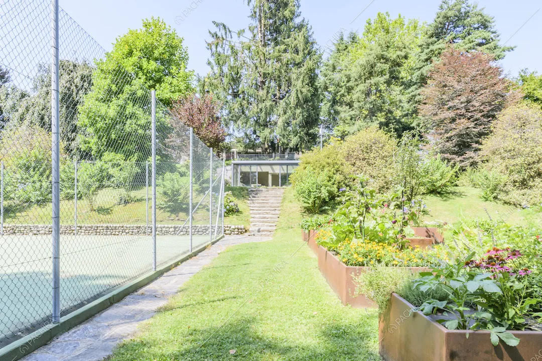 Rete di recinzione del campo da tennis, alberi e piante