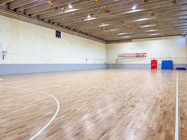 Campo da pallavolo della dimora storica Ande, location in stile classico a Monza