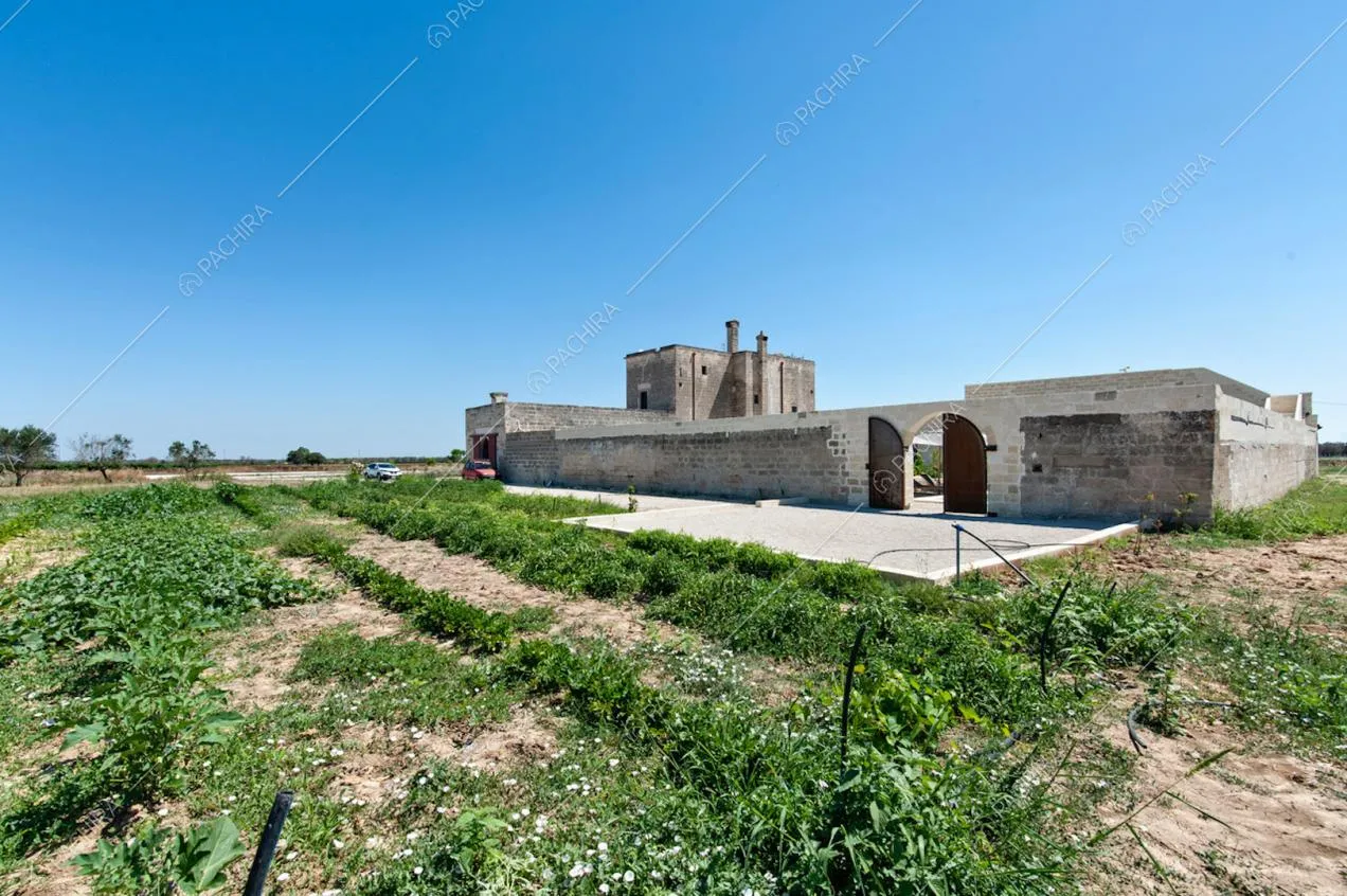 La campagna salentina che circonda la Location Zapote