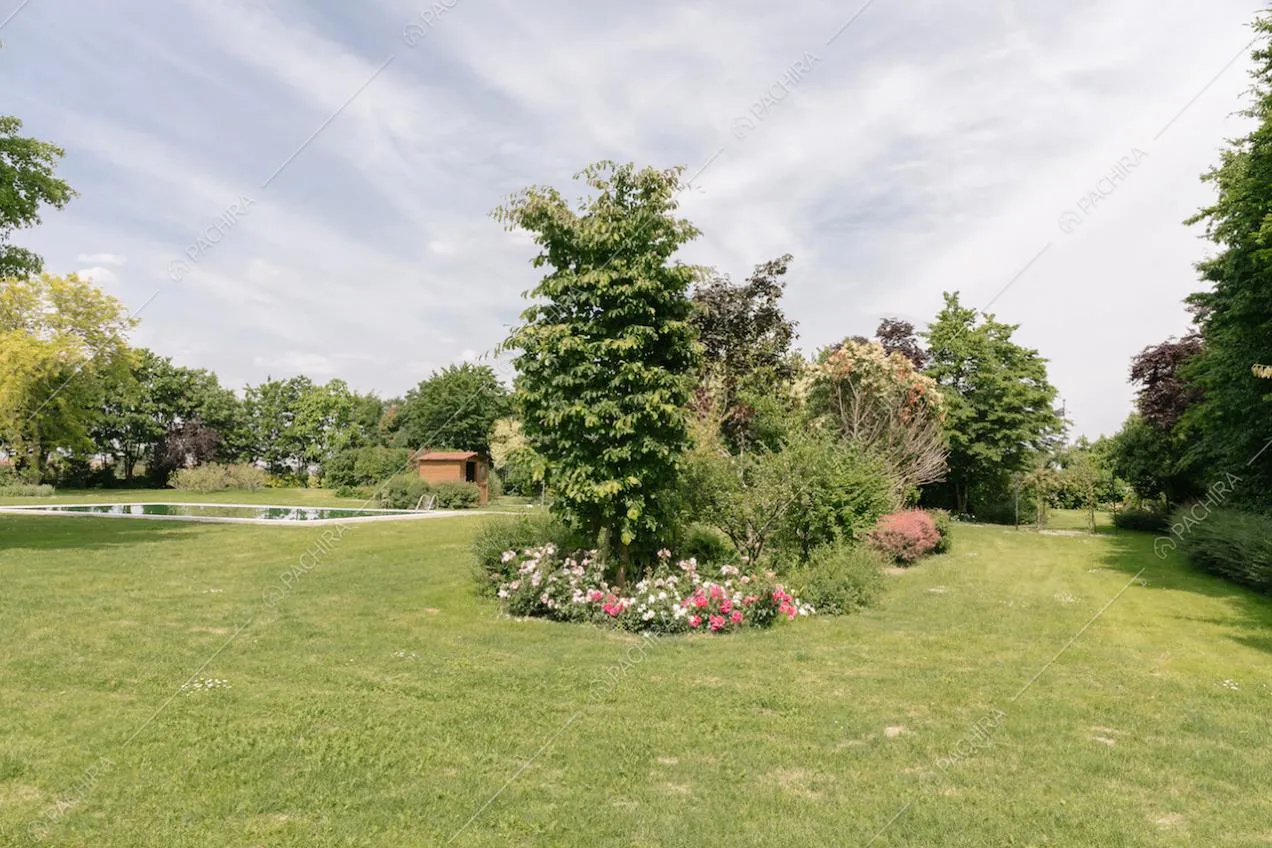 Vista del giardino alberato con piscina