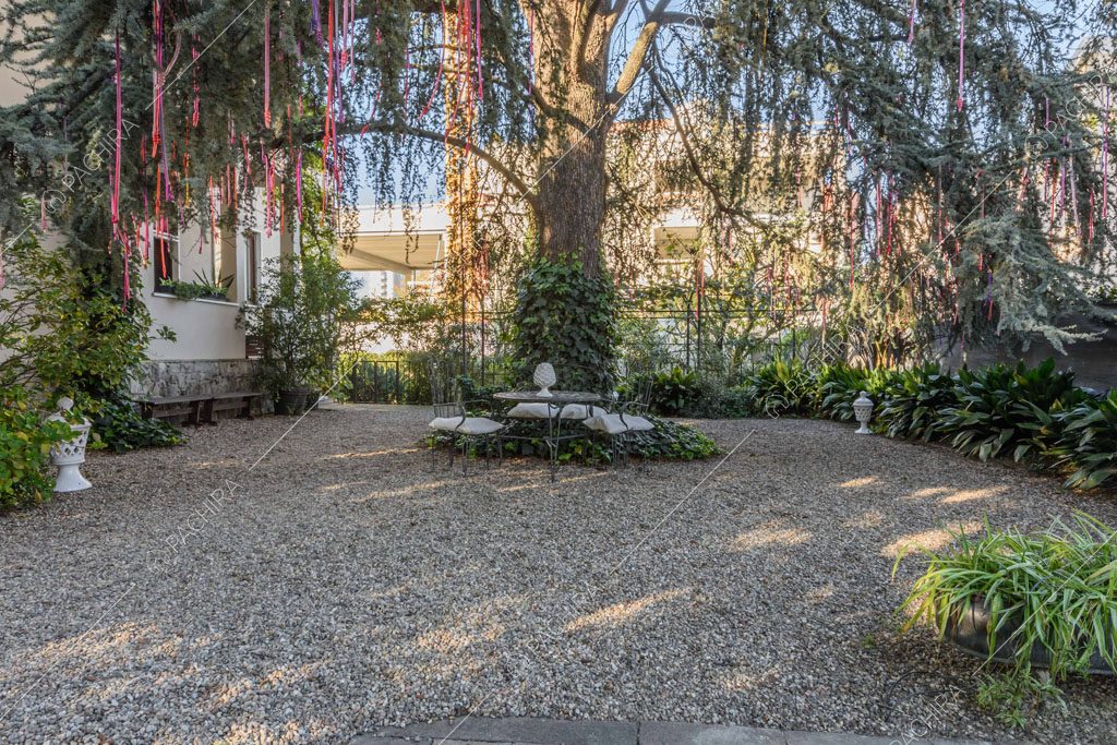 Grande albero con giardino dalla pavimentazione in ciottoli
