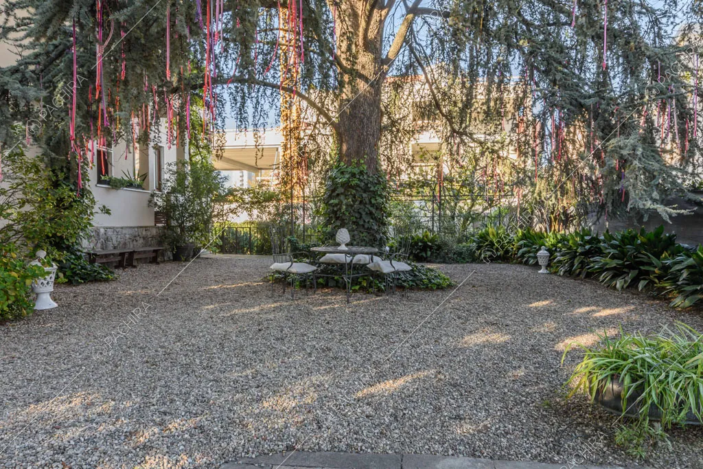 Grande albero con giardino dalla pavimentazione in ciottoli