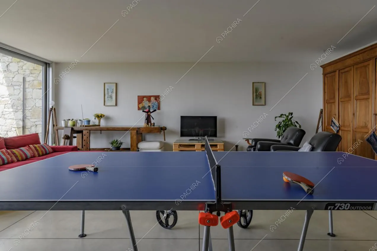 Tavolo da ping pong nella sala con le pareti bianche, vetrate e pavimento in cemento lisciato