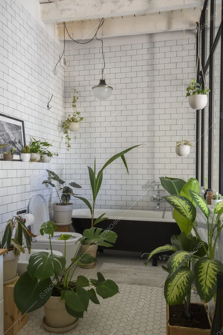 Bagno rivestito in piastrelle bianche 