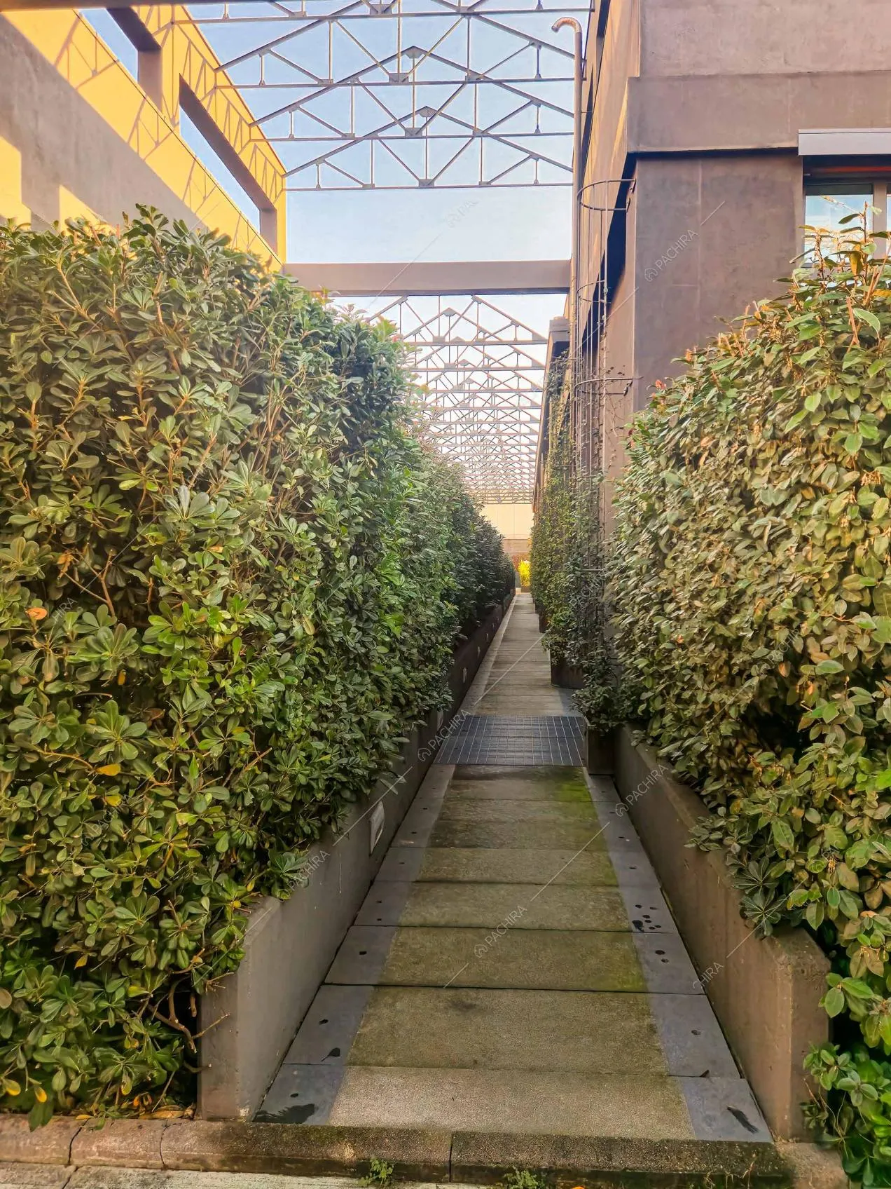 Vialetto della location Drina, loft in stile moderno a Milano