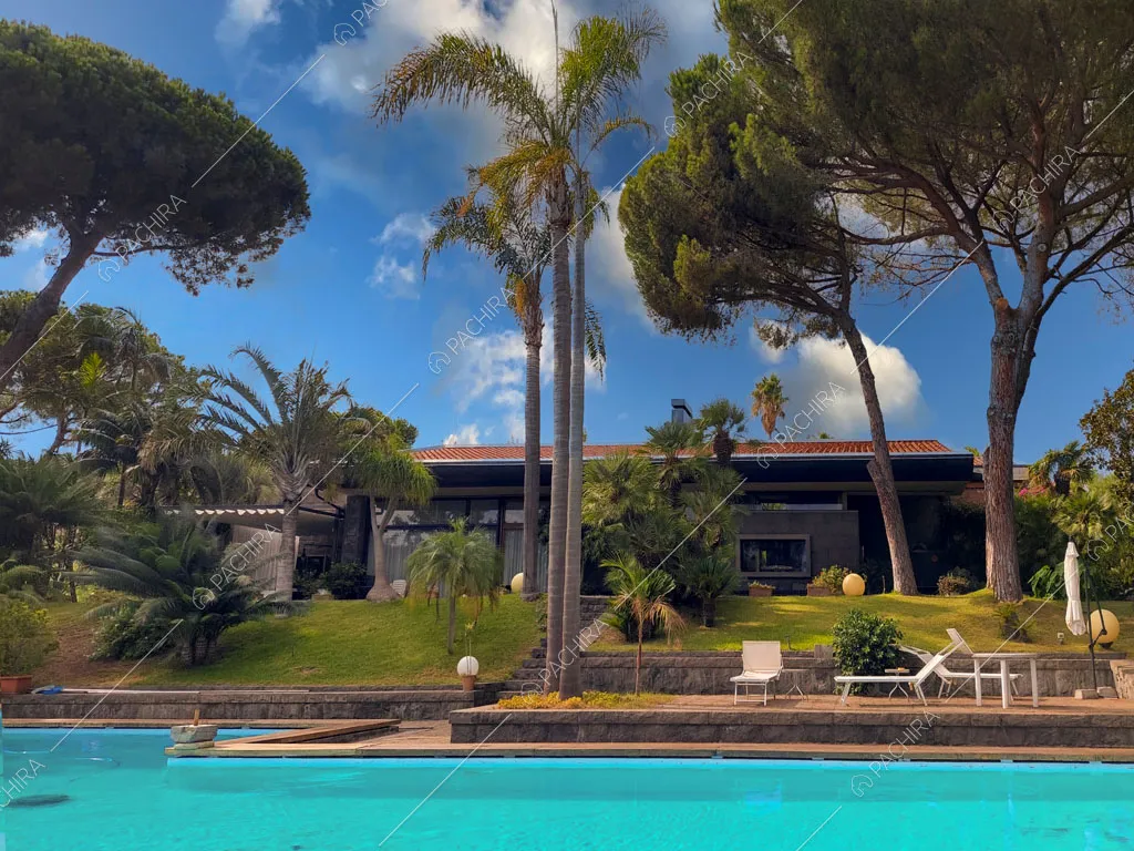 Dalla piscina del giardino con palme vista sulla location