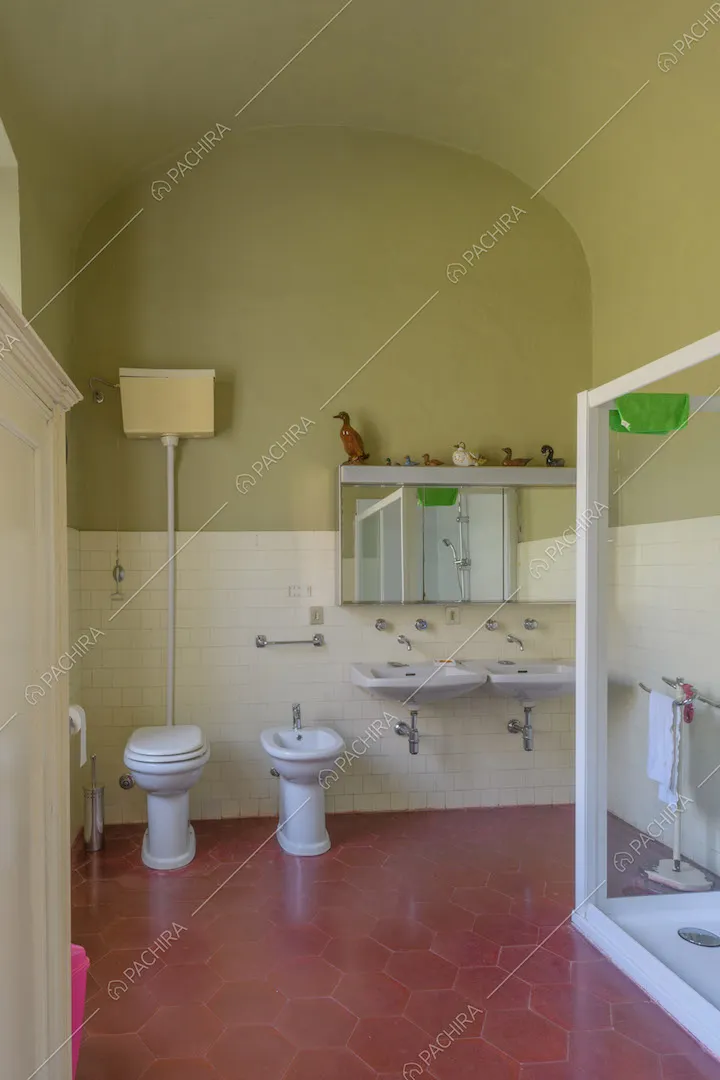 Grande bagno con pareti e soffitto verdi, pavimento in cementine rosse e doccia