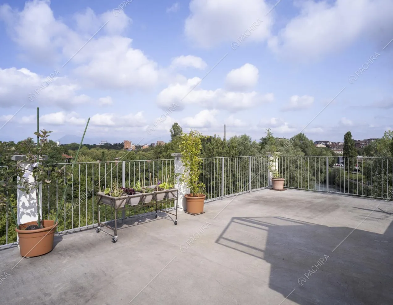 Terrazza con balaustra in metallo, piante e vista sul parco