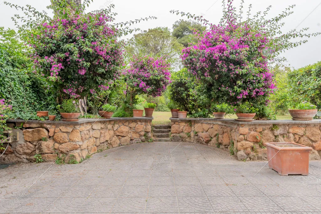 Cortile della villa Murray, location in stile contemporaneo a Roma