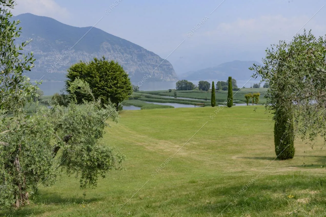 La vegetazione rigogliosa del parco e montagne sullo sfondo