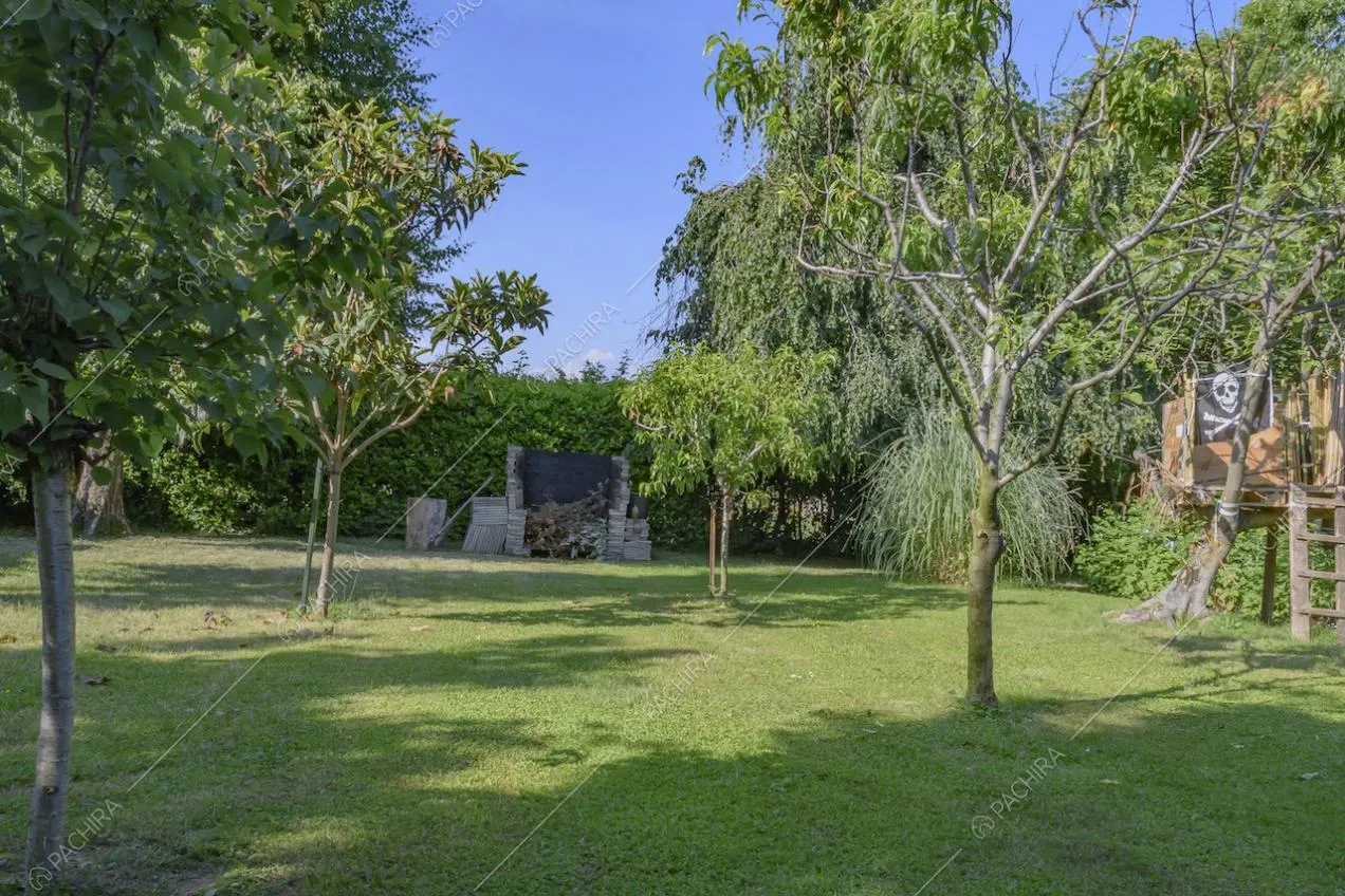 Angolo di giardino con casetta sull'albero
