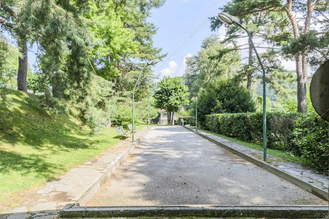 Viale con piante, siepi, alberi e lampioni ai lati