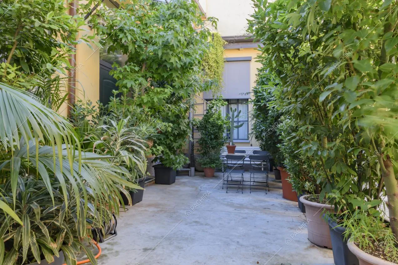 Piante all'interno del cortile con tavolo e sedie in ferro
