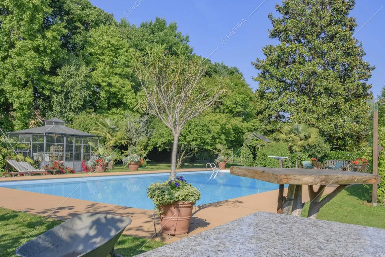 Piscina all'aperto con dépendance e piante