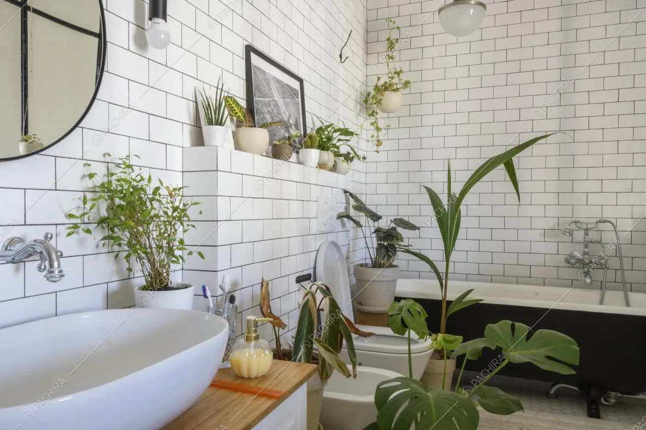 Piante in vaso all'interno del bagno e lavandino ovale