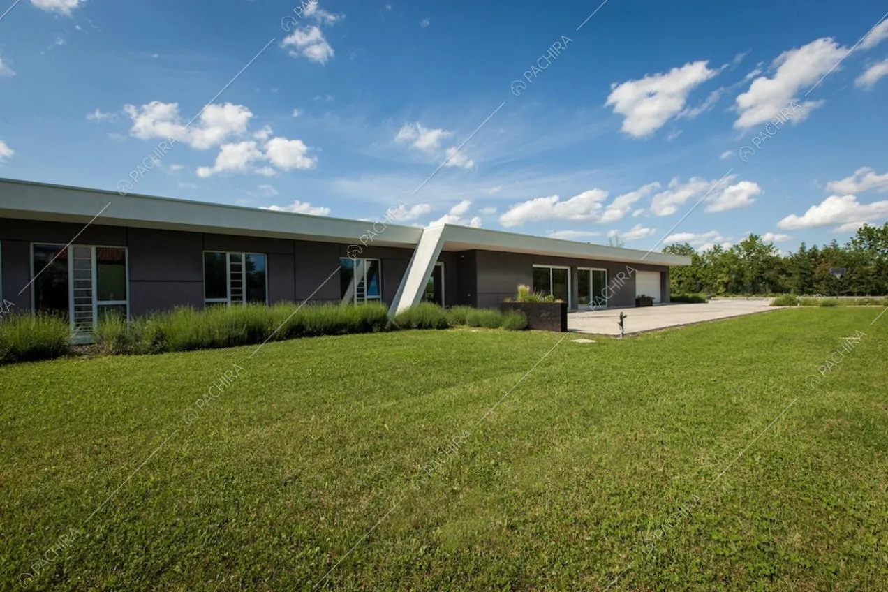 Villa dall'architettura contemporanea con giardino