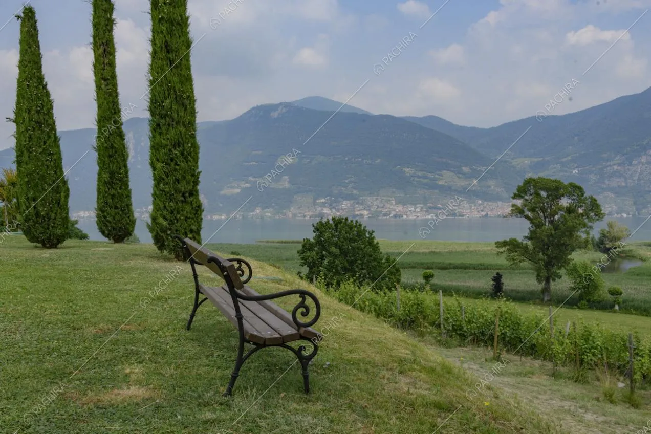 Alberi e paesaggio intorno alla panchina nel parco della villa