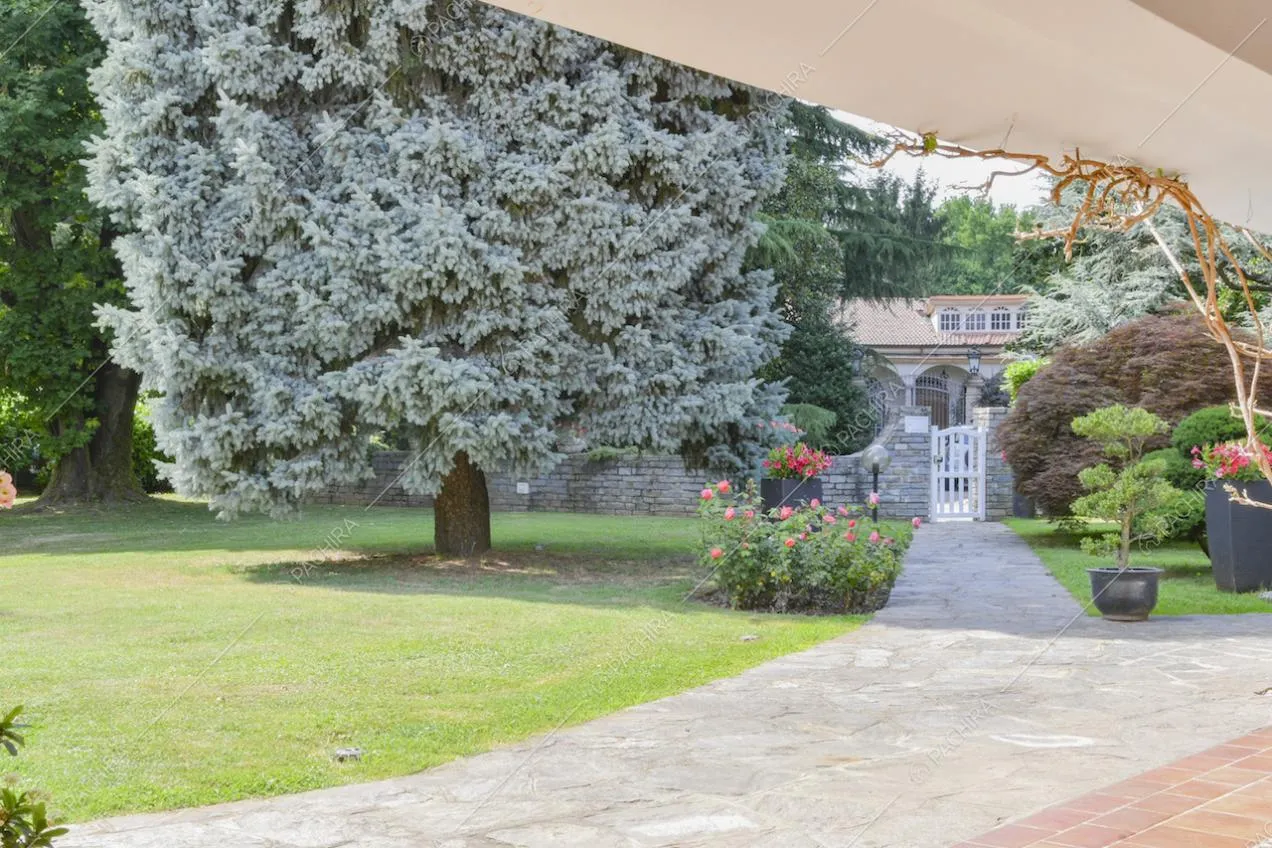 Vista sul cancelletto di accesso